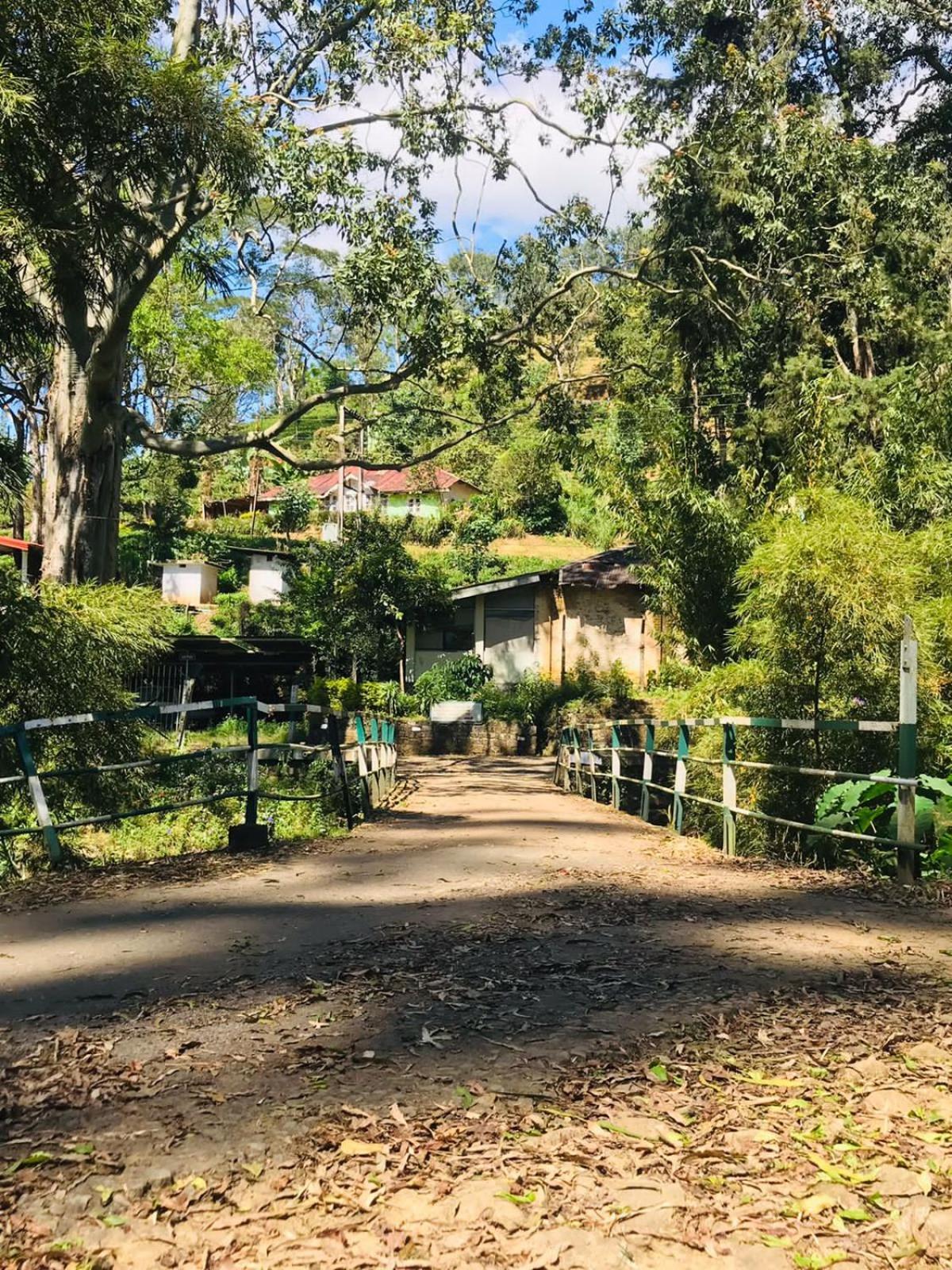 Ferienhaus Archu Agam