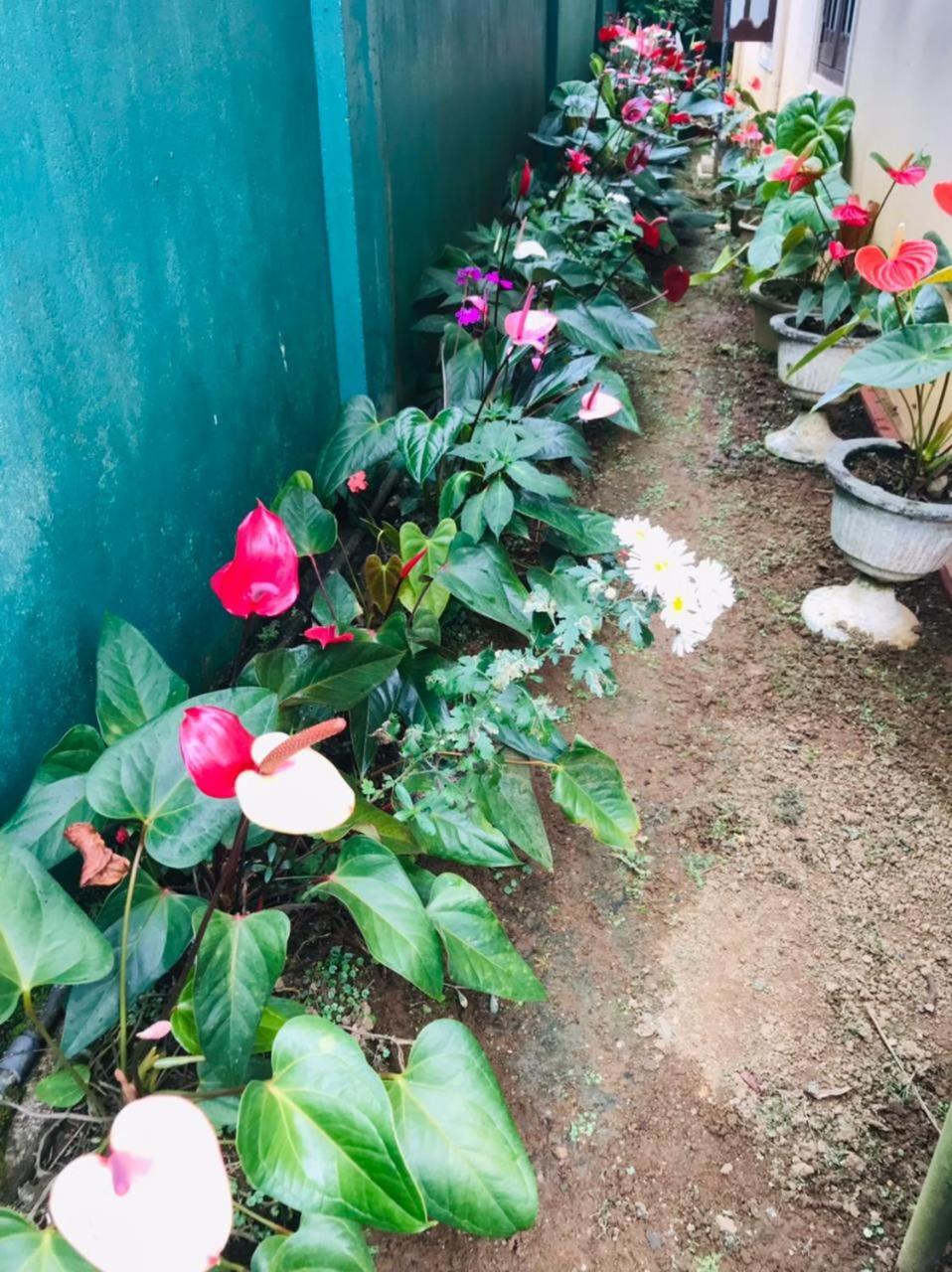 Holiday home Archu Agam